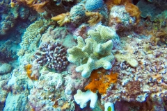DCIM\100GOPRO\GOPR1975.JPG
