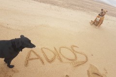 URUGUAY: adiós amigos
