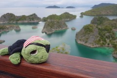 RAJA AMPAT: 1800 Inseln