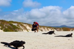 GALAPAGOS: Iguanas an der Playa Tortuga