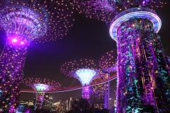 Singapore Gardens by the bay Supertrees-3